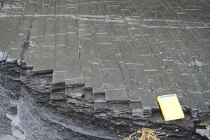 Shale oil "Joints 1" Photo by Michael C. Rygel 