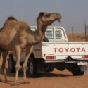Toyota Recalls 1.8 Million Defective Cars