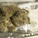 Business About to Boom in Cannabis Industry