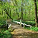 Yes, it is in Your Own Backyard!