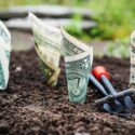 Top 2019 Investments