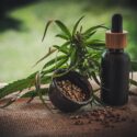 Barry Brand’s Landmark Lawsuit Win in Cannabis Raid Case