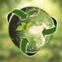 Businesses Adopting Sustainability Model in 2023