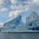 Focus on Companies: Patagonia- Where Less is More